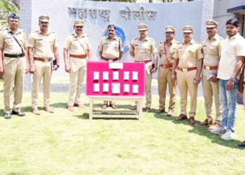 सोलापूर एलसीबी कडून चोरीचे १० गुन्हे उघडकीस ; साडे चार लाखांच्या मुद्देमालासह..