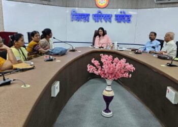 आम्ही जेष्ठ मागे नाहीत.. तुम्हा तरुणांना काय झाले?