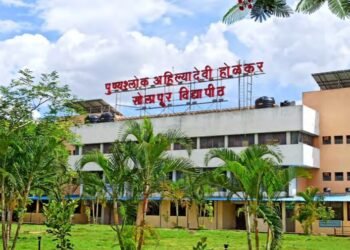 बारावीनंतर पुढे काय..? नो टेन्शन..! सोलापूर विद्यापीठात आता सुरू होणार हे अभ्यासक्रम.