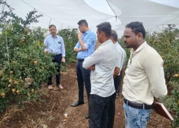 जिल्हाधिकारी कुमार आशीर्वाद यांची डाळिंब संशोधन केंद्रास भेट