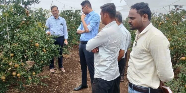 जिल्हाधिकारी कुमार आशीर्वाद यांची डाळिंब संशोधन केंद्रास भेट