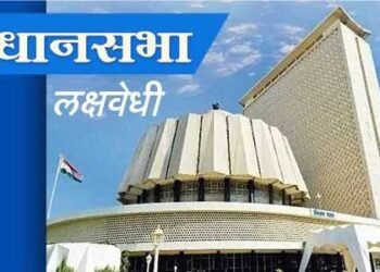 विधानसभा लक्षवेधी