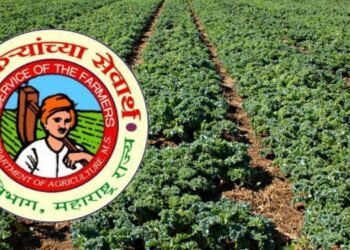 कृषी उत्पादनांच्या भौगोलिक मानांकनात महाराष्ट्र अग्रेसर