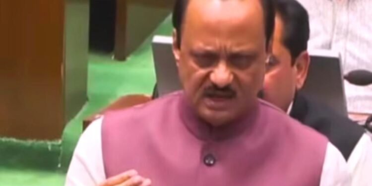 लाडकी बहीण योजनेत बदल होणार ; बंद होणार नाही – अजित पवार, अर्थमंत्री