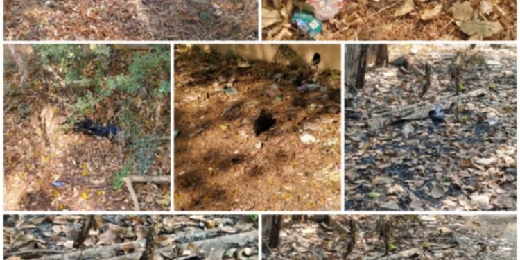 ब्रेकिंग | रेल्वे स्टेशन परिसरावर बर्ड फ्लूचे सावट..! प्रशासन सतर्क..!