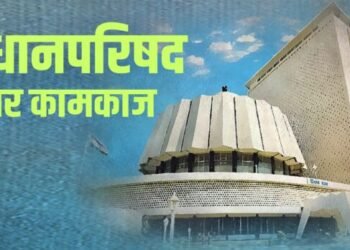 राज्यात यंदाच्या वर्षी ४४ लाख क्विंटल कापसाची खरेदी