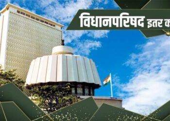 पीओपी’ मूर्तीसंदर्भात समिती स्थापन – मुख्यमंत्री देवेंद्र फडणवीस