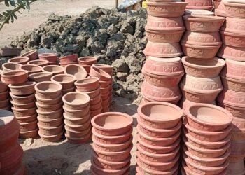 सोलापुरात पक्ष्यांसाठी शनिवारी वाटली जाणार १००० जलपात्रे