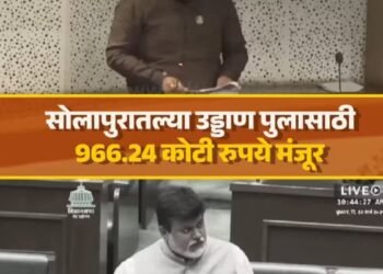 Solapur | शहरातील उड्डाणपूलासाठी कोट्यावधींचा निधी मंजूर ; जया’भाऊ’, सचिन’दादा’, देवेंद्र ‘दादा’ यांना यश