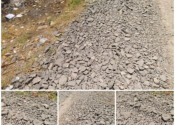 Bale | ‘या’च रस्त्याच्या कामासाठी  आमदारांसह, डॉ. देशमुख ॲक्शन मोडवर..!