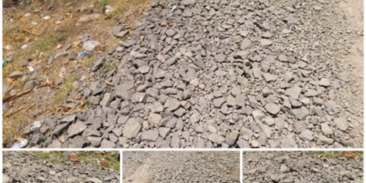 Bale | ‘या’च रस्त्याच्या कामासाठी  आमदारांसह, डॉ. देशमुख ॲक्शन मोडवर..!