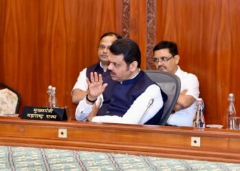 वीज निर्मितीसाठी दीर्घकालीन उपाययोजनांवर भर