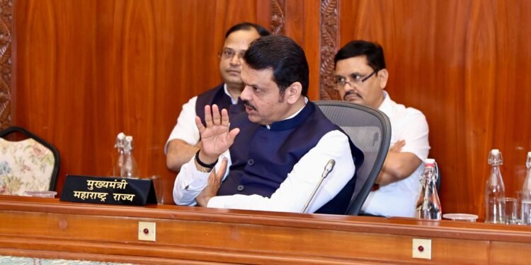 वीज निर्मितीसाठी दीर्घकालीन उपाययोजनांवर भर