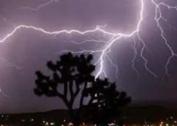 पशुधन आणि वीज सुरक्षेसाठी आवश्यक खबरदारी