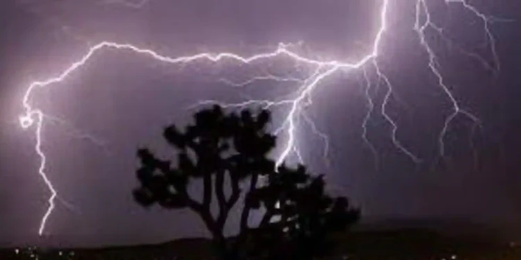 पशुधन आणि वीज सुरक्षेसाठी आवश्यक खबरदारी