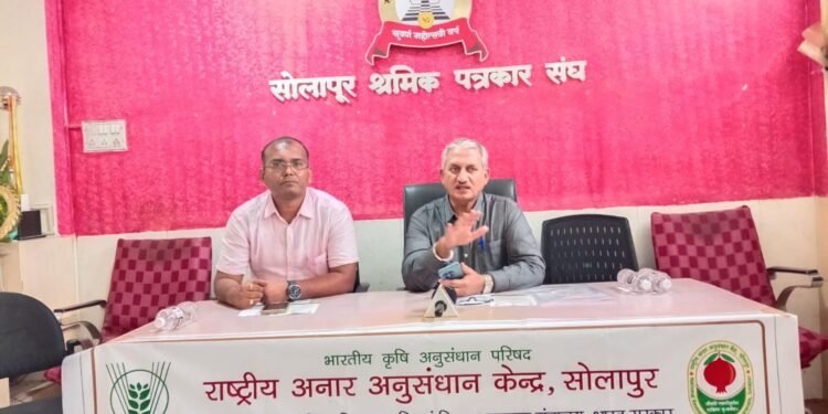 अनार गौरव पुरस्कार |आज सोलापुरात राष्ट्रीय डाळिंब उत्पादकांचा मेळावा..