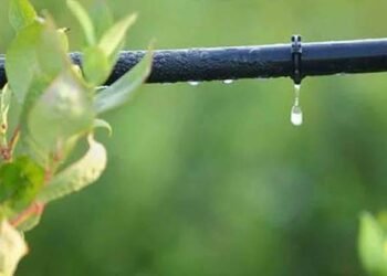 “पाण्याची बचत, उत्पादनात वाढ! ठिबक व तुषार सिंचनासाठी अर्ज करण्याची शेवटची संधी..