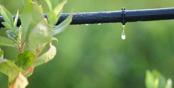 “पाण्याची बचत, उत्पादनात वाढ! ठिबक व तुषार सिंचनासाठी अर्ज करण्याची शेवटची संधी..