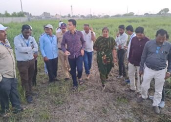 मनपा आयुक्तांचा दणका | सपाटे, निकाळजे, देशमुख, जानकर, धूम्मा यांना नोटिसा